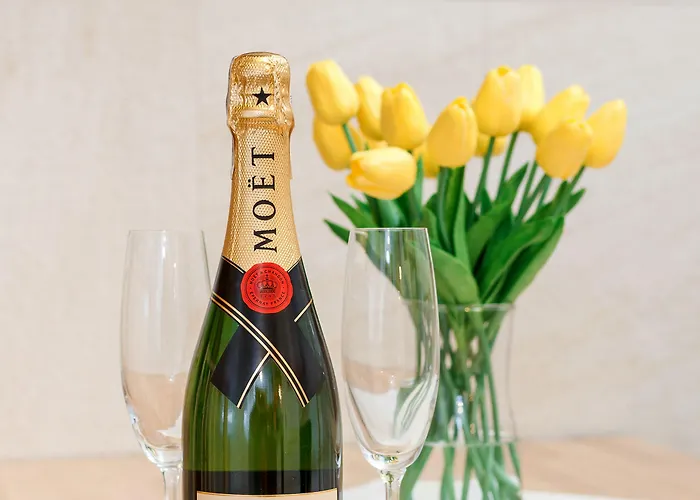 典雅公寓酒店 4* 克拉科夫